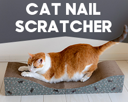 CAT NAIL SCRATCHER