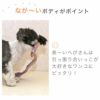 【 犬 おもちゃ 】iDog にょろにょろへび 鳴き笛入り アイドッグ