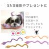 【 犬 おもちゃ 】iDog にょろにょろへび 鳴き笛入り アイドッグ