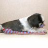 【 犬 おもちゃ 】iDog にょろにょろへび 鳴き笛入り アイドッグ