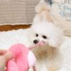 【 犬 おもちゃ 】iDog フラミンゴ 鳴き笛入り アイドッグ