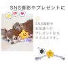 【 犬 おもちゃ 】iDog ひっぱりお星様 鳴き笛入り アイドッグ メール便OK