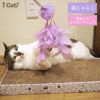 【 猫 おもちゃ 】iCat パステルふわもこじゃらし アイキャット