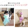 【 猫 おもちゃ 】iCat パステルふわもこじゃらし アイキャット