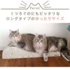 【 猫 爪とぎ 】iCat つめとぎ ロング ねこづくし アイキャット