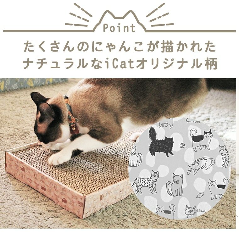 ねこづくし ねこづくし 1箱 / 猫づくし クリックポスト 送料無料 猫 ネコ 和