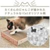 【 猫 爪とぎ 】iCat スクエアつめとぎ ねこづくし アイキャット