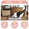 【 猫 爪とぎ 】iCat スクエアつめとぎ ねこづくし アイキャット