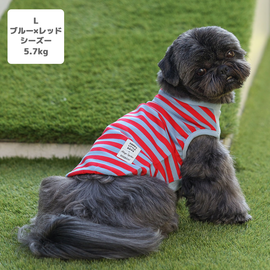 チワワ1.9kg(首19/胴29.5/丈21.5cm)のウメちゃんはグラデボーダーグリーンのSを着用