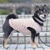 柴犬9.0kg(首36/胴52/丈43cm)のざくろちゃんはアーモンド24のXXLを着用