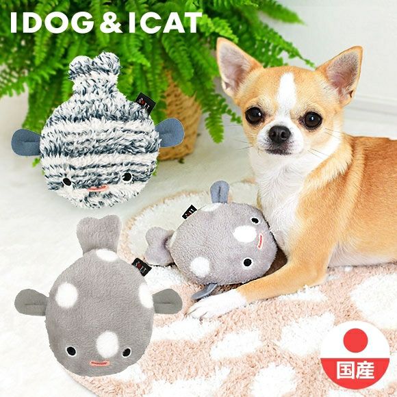 飼い犬を遊ばせる5つの方法とは おもちゃを使って適度な運動をさせよう Idog Icat