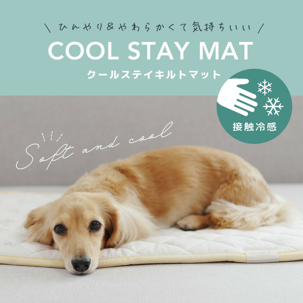 IDOG&ICATひんやりステイマットアイドッグ。