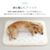 【 犬 猫 ブランケット マット 】IDOG&ICAT ひんやり防虫キルトマット アイドッグ