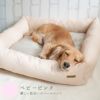 ミニチュアダックス3.9kgのクムちゃんはベビーピンクを使用