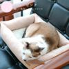 3.5kgの風花ちゃんはベビーピンクを使用