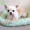 チワワ2.7kgのこむぎくんはフルーツグリーンを使用