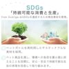 SDGs「持続可能な消費と生産」