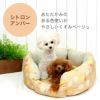 トイプー1.0kgのミーナちゃん(右)とトイプー1.2kg(首15/胴26/丈19cm)のマユリちゃん(左)もシトロンアンバーを使用