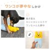 【 犬 猫 おもちゃ 】iDog iToy ボーダーくまさん カシャカシャ 鳴き笛入り アイドッグ