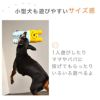 【 犬 猫 おもちゃ 】iDog iToy ボーダーくまさん カシャカシャ 鳴き笛入り アイドッグ