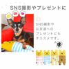 【 犬 猫 おもちゃ 】iDog iToy ボーダーくまさん カシャカシャ 鳴き笛入り アイドッグ