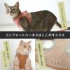 【 猫ハーネス 】iCat 猫用コンフォートハーネス リード付き スター 防水 アイキャット メール便OK
