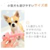 小型犬も遊びやすいサイズ感