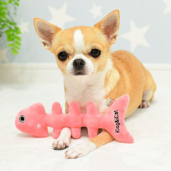 IDOG&ICAT おさかなボーン 鈴入り- IDOG&ICAT|犬 猫 おもちゃ