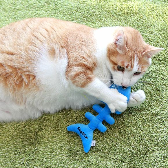 大好きなおさかなに大興奮