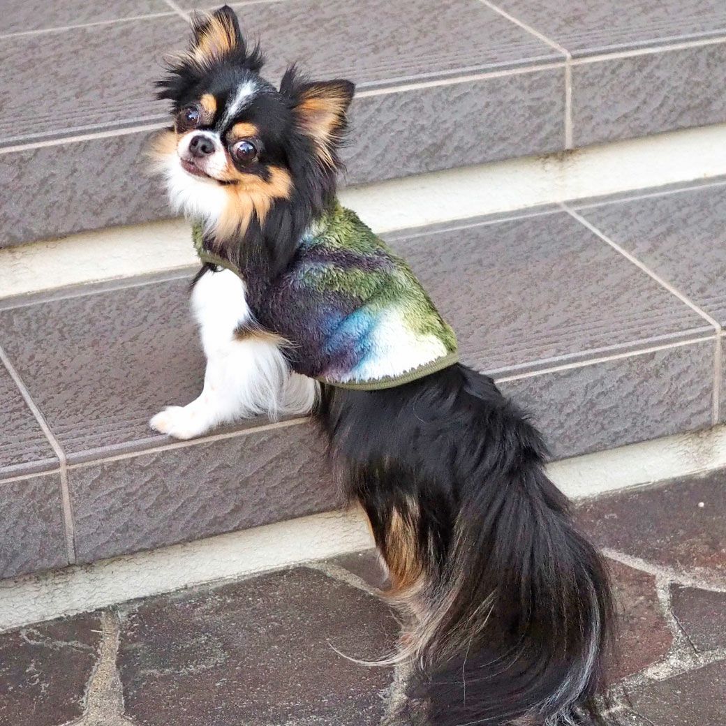 チワワ2.7kg(首23/胴35/丈26cm)のマルスくんはタイダイカーキのSを着用