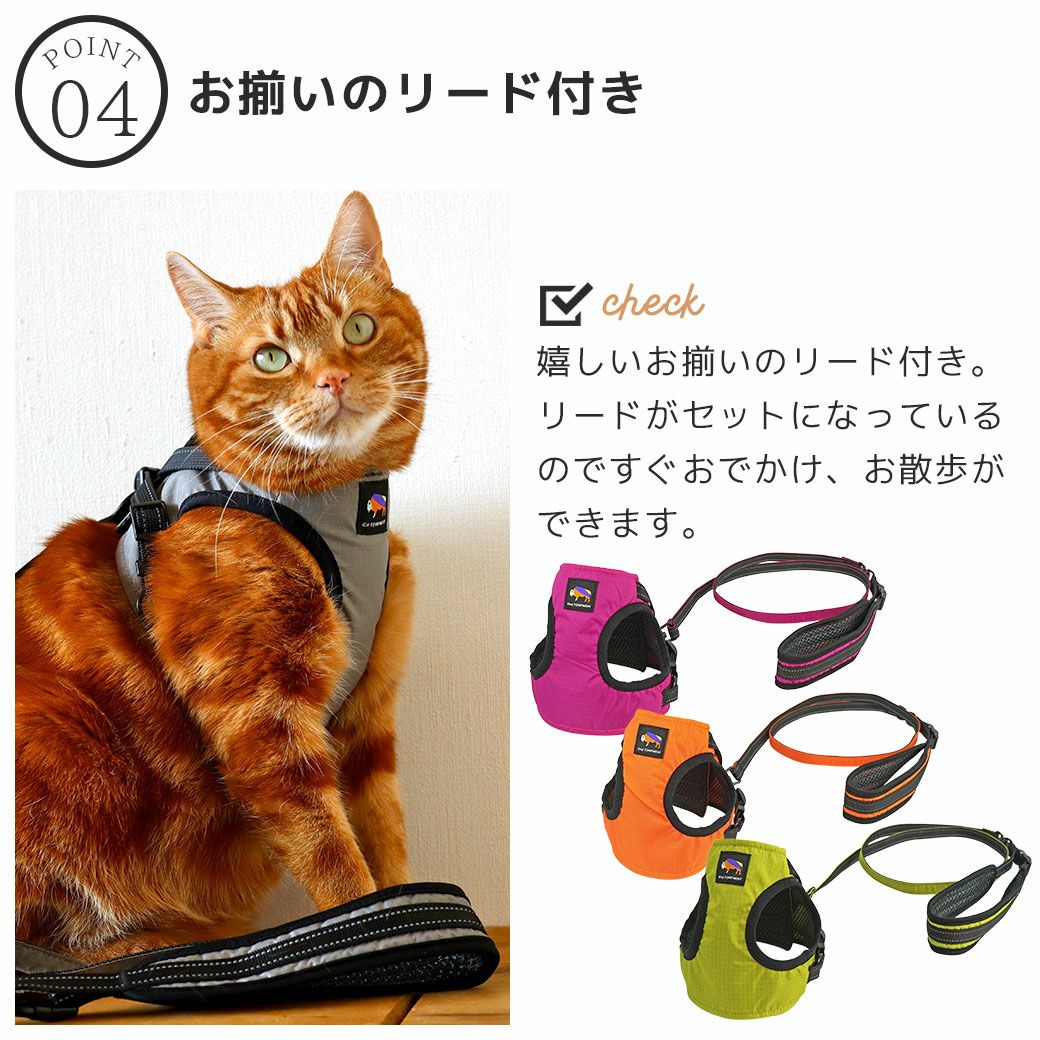 おそろいのリードで今すぐおでかけ