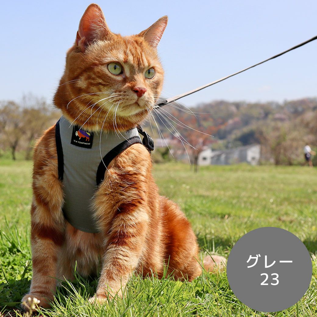 アメショ7.0kgのタラくん(首周り28cm)はグレー23のLを着用