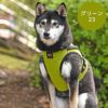 柴犬8.8kg(首34/胴50/丈38cm)の凪ちゃんはグリーン23のXXLを着用