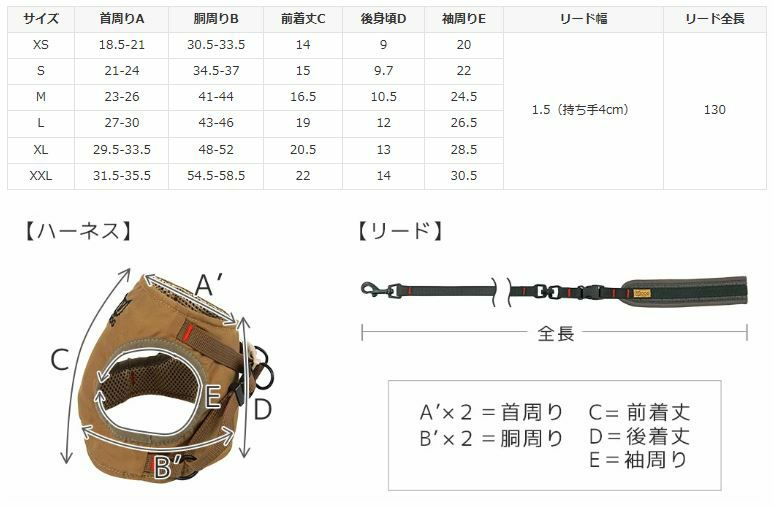 サイズ表
