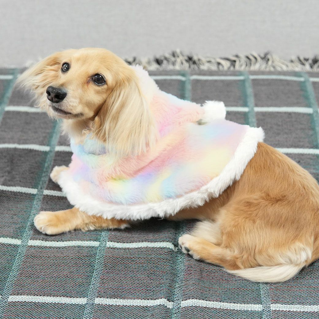 ミニチュアダックス3.9kg(首25/胴37/丈31cm)のクムちゃんはAピンクセットのDSを着用