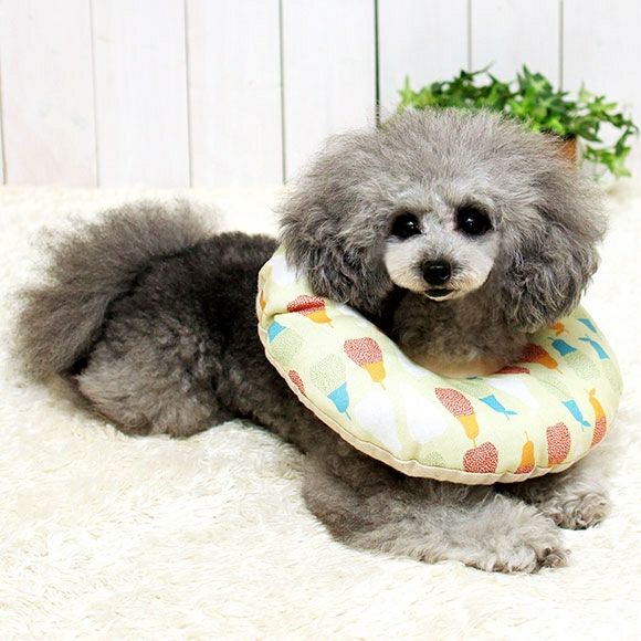 「愛しの♡エリー♬」（新）ワンちゃって投扇興セット（犬シール付！） iDog＆iCat本店】iDog 洗える布製エリザベスカラー アイドッグ-犬猫