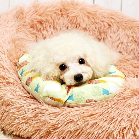 【犬 猫 エリザベスカラー】iDog 洗える布製エリザベスカラー アイドッグ