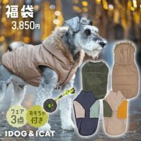 iDogアドベンチャー福袋探検に出かけよう!セット