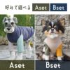 Bブルーベストセット