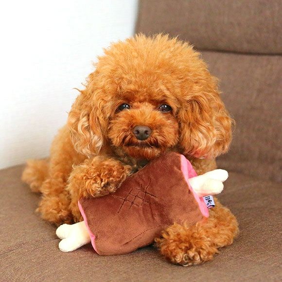 【 犬 おもちゃ 】IDOG&ICAT 知育おもちゃ 骨付き肉 アイドッグ
