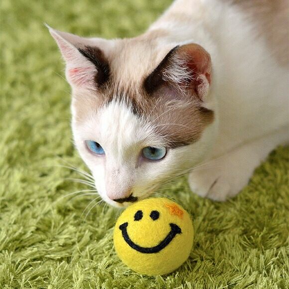 【 猫 おもちゃ 】iCaTOY コロコロフェルトTOY にんまりスマイル