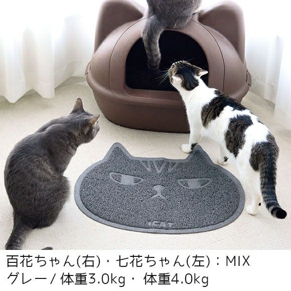 【 猫 トイレ 】iCat 砂取りマット キャットフェイス アイキャット
