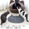 【 猫 トイレ 】iCat 砂取りマット キャットフェイス アイキャット