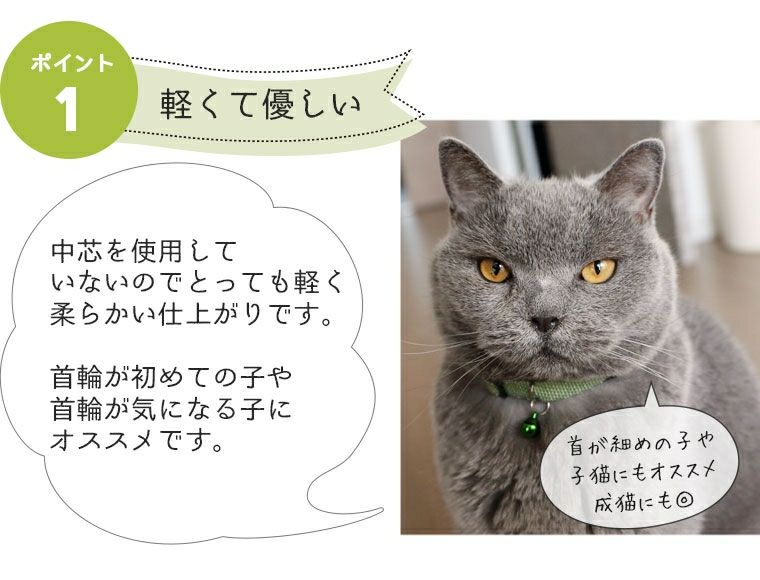 【 猫 首輪 安全 】iCat カジュアルカラー 反射織紐 アイキャット メール便OK