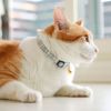 【 猫 首輪 安全 】iCat カジュアルカラー カラフルストライプ織紐 アイキャット メール便OK