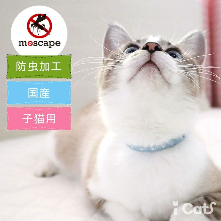 超可爱の 猫用首輪 iCat moscape キティカラー ドット 防虫 メール便OK