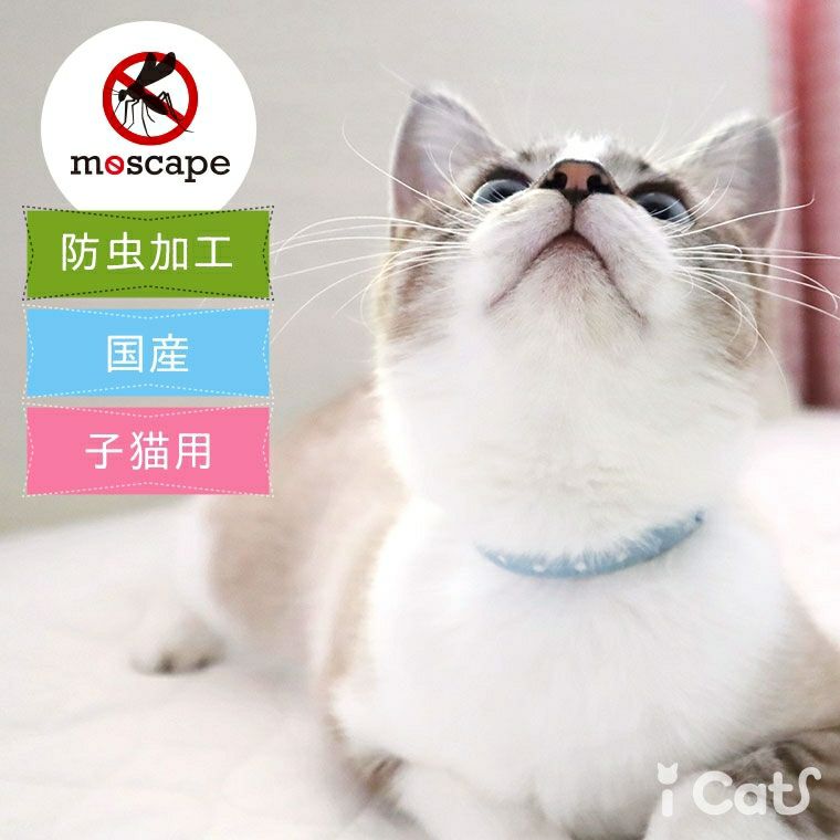 【 猫 首輪 安全 】iCat moscape キティカラー ドット 防虫 メール便OK