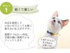 【 猫 首輪 安全 】iCat moscape キティカラー 結びリボン×無地 防虫 メール便OK