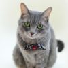 【 猫 首輪 安全 】iCat moscape ラブリーカラー ちりめん×結びリボン 防虫 メール便OK