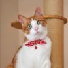 【 猫 首輪 安全 】iCat moscape ラブリーカラー ちりめん×結びリボン 防虫 メール便OK